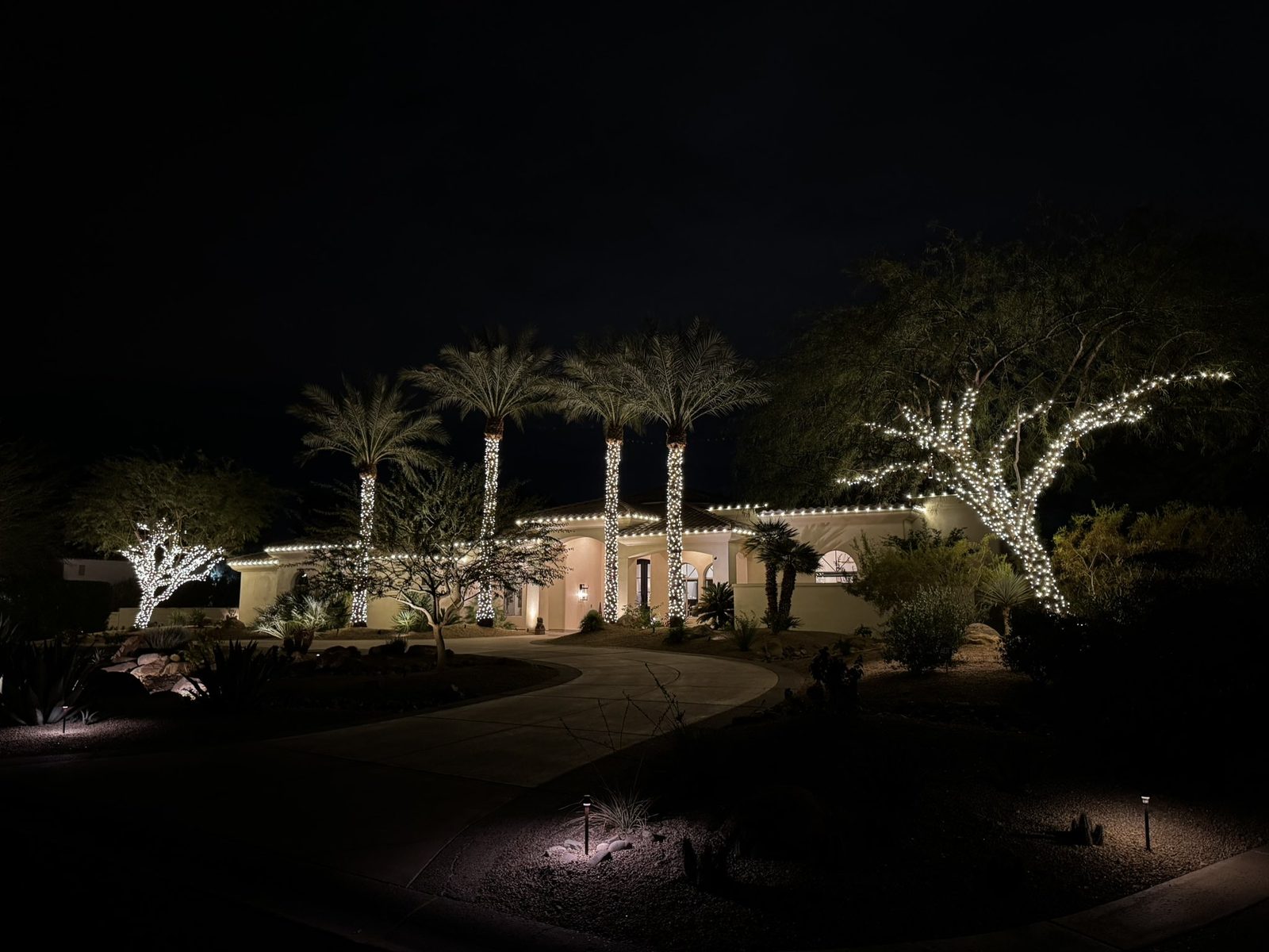 A finished install on a single-storey home. The roofline is outlined and four date palms are wrapped trunk to crown, with a broad oak lit across the front of the property.